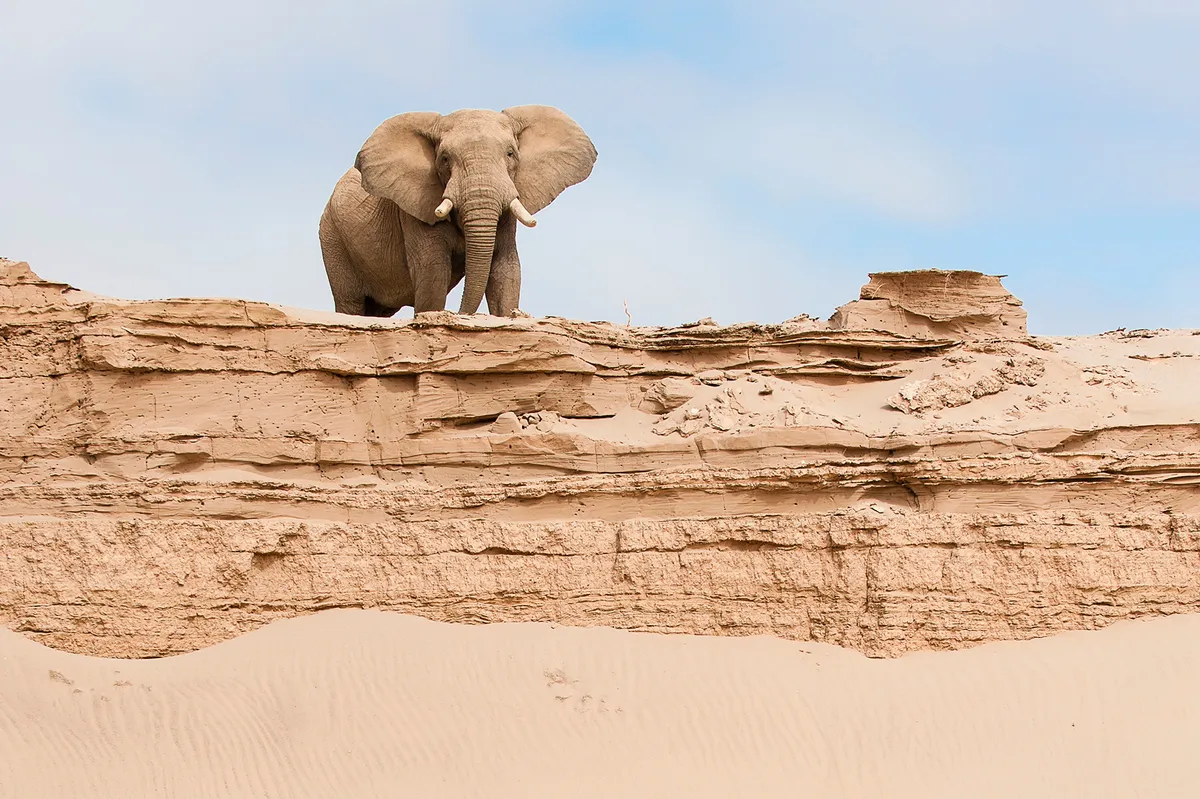 Vol en montgolfière au-dessus des dunes de Sossusvlei, Namibie
